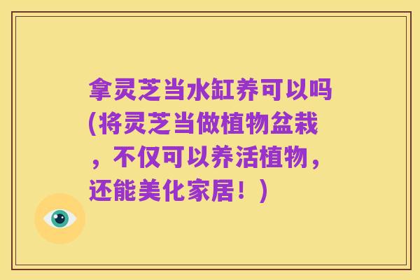 拿灵芝当水缸养可以吗(将灵芝当做植物盆栽,不仅可以养活植物,还能美化家居!)