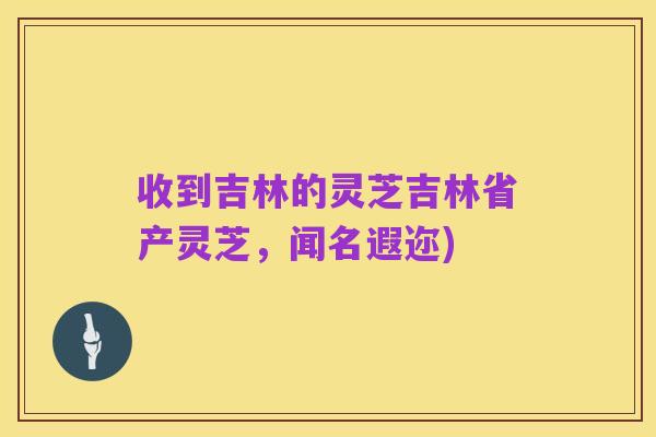 收到吉林的灵芝吉林省产灵芝,闻名遐迩)