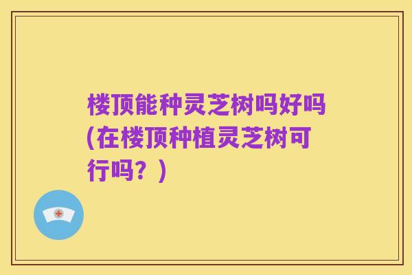 楼顶能种灵芝树吗好吗(在楼顶种植灵芝树可行吗?)