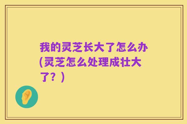 我的灵芝长大了怎么办(灵芝怎么处理成壮大了?)