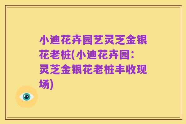 小迪花卉园艺灵芝金银花老桩(小迪花卉园:灵芝金银花老桩丰收现场)