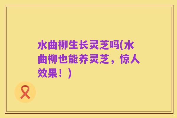 水曲柳生长灵芝吗(水曲柳也能养灵芝,惊人效果!)