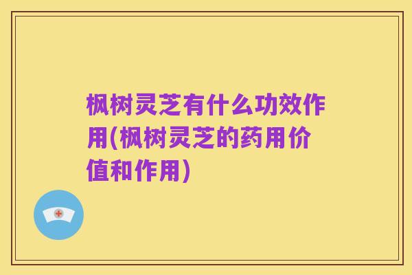 枫树灵芝有什么功效作用(枫树灵芝的药用价值和作用)