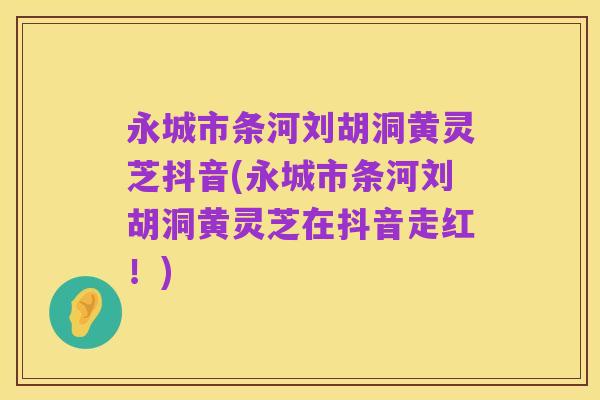 永城市条河刘胡洞黄灵芝抖音(永城市条河刘胡洞黄灵芝在抖音走红!)