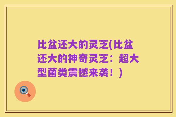 比盆还大的灵芝(比盆还大的神奇灵芝:超大型菌类震撼来袭!)