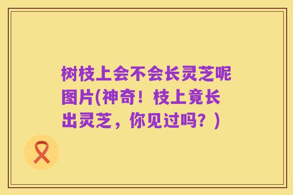树枝上会不会长灵芝呢图片(神奇！枝上竟长出灵芝，你见过吗？)