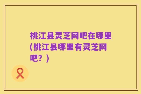 桃江县灵芝网吧在哪里(桃江县哪里有灵芝网吧?)