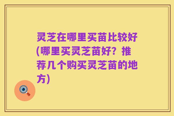 灵芝在哪里买苗比较好(哪里买灵芝苗好？推荐几个购买灵芝苗的地方)