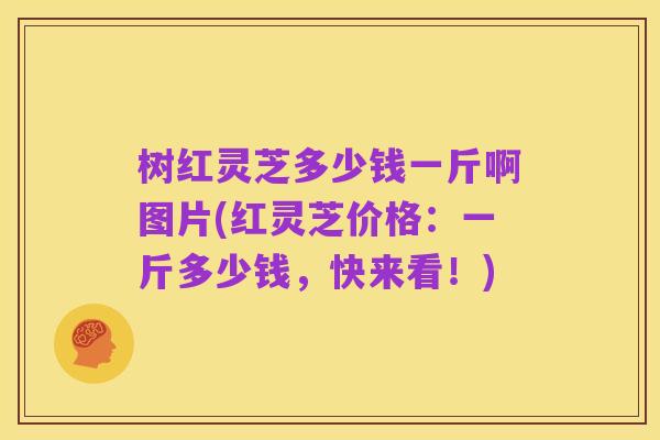 树红灵芝多少钱一斤啊图片(红灵芝价格:一斤多少钱,快来看!)
