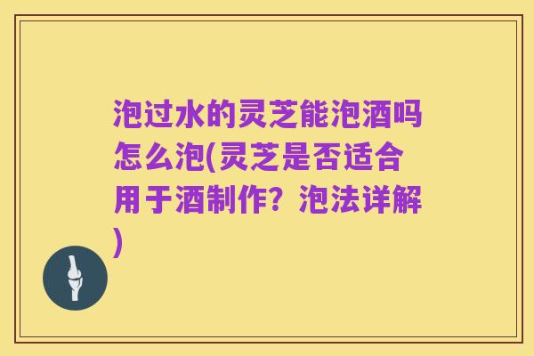 泡过水的灵芝能泡酒吗怎么泡(灵芝是否适合用于酒制作？泡法详解)