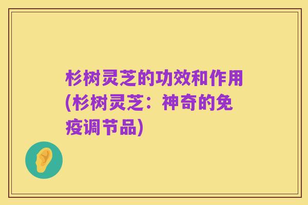 杉树灵芝的功效和作用(杉树灵芝：神奇的免疫调节品)