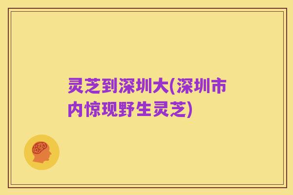 灵芝到深圳大(深圳市内惊现野生灵芝)