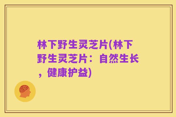 林下野生灵芝片(林下野生灵芝片：自然生长，健康护益)