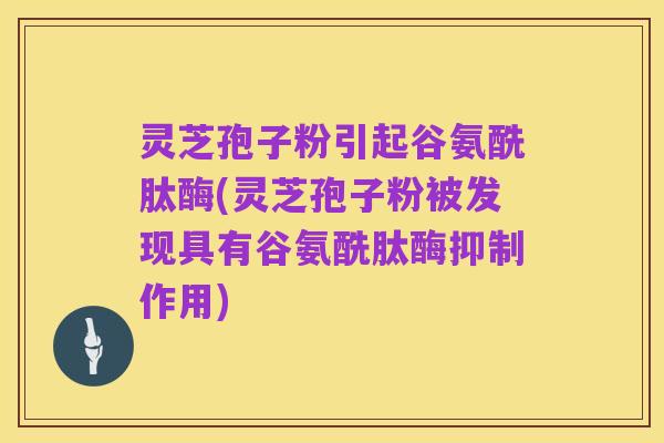 灵芝孢子粉引起谷氨酰肽酶(灵芝孢子粉被发现具有谷氨酰肽酶抑制作用)