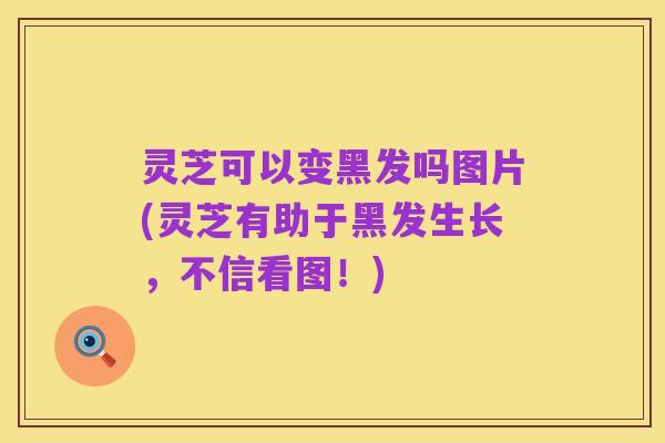 灵芝可以变黑发吗图片(灵芝有助于黑发生长,不信看图!)