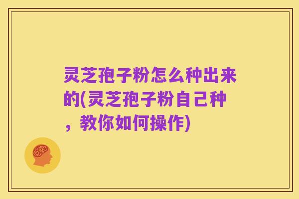 灵芝孢子粉怎么种出来的(灵芝孢子粉自己种,教你如何操作)