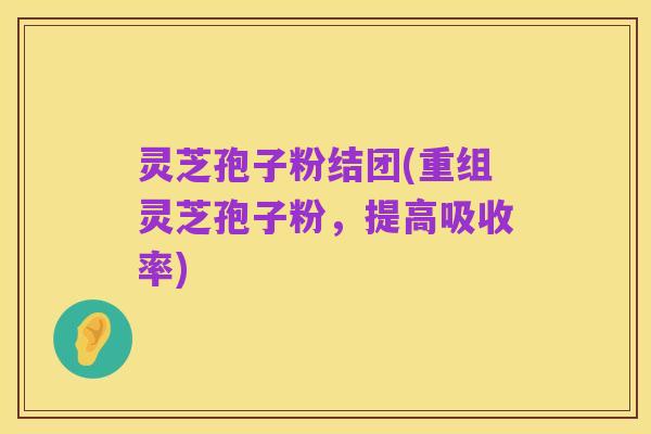 灵芝孢子粉结团(重组灵芝孢子粉,提高吸收率)