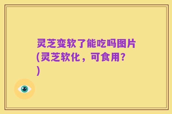 灵芝变软了能吃吗图片(灵芝软化，可食用？)
