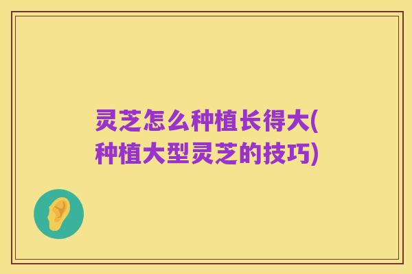 灵芝怎么种植长得大(种植大型灵芝的技巧)