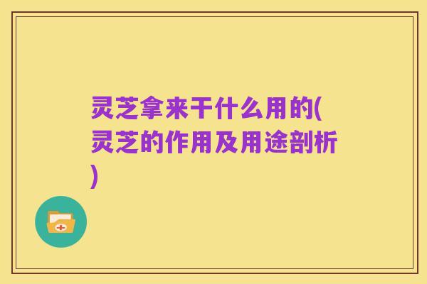灵芝拿来干什么用的(灵芝的作用及用途剖析)