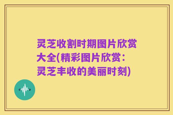 灵芝收割时期图片欣赏大全(精彩图片欣赏：灵芝丰收的美丽时刻)