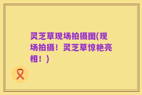 灵芝草现场拍摄图(现场拍摄!灵芝草惊艳亮相!)
