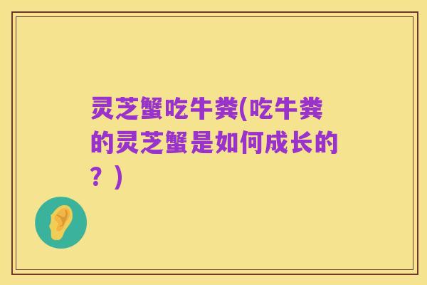 灵芝蟹吃牛粪(吃牛粪的灵芝蟹是如何成长的?)