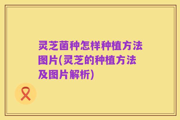 灵芝菌种怎样种植方法图片(灵芝的种植方法及图片解析)