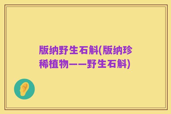 版纳野生石斛(版纳珍稀植物——野生石斛)