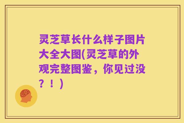 灵芝草长什么样子图片大全大图(灵芝草的外观完整图鉴,你见过没?!)