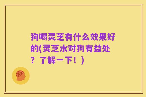狗喝灵芝有什么效果好的(灵芝水对狗有益处？了解一下！)