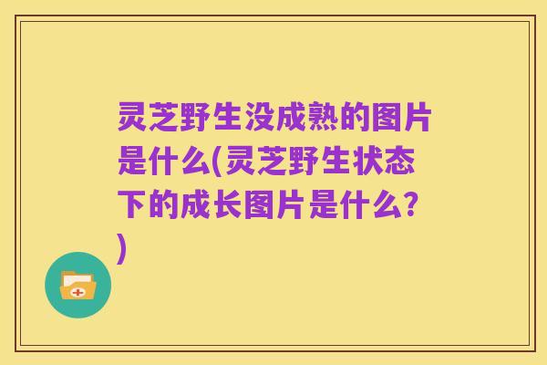 灵芝野生没成熟的图片是什么(灵芝野生状态下的成长图片是什么?)