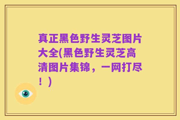 真正黑色野生灵芝图片大全(黑色野生灵芝高清图片集锦，一网打尽！)