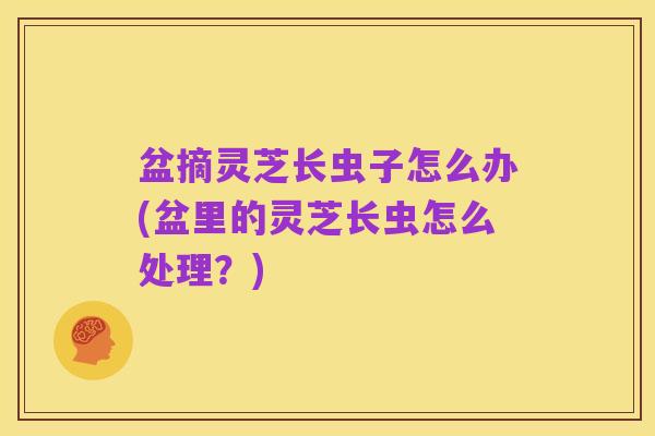 盆摘灵芝长虫子怎么办(盆里的灵芝长虫怎么处理?)