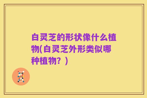白灵芝的形状像什么植物(白灵芝外形类似哪种植物?)