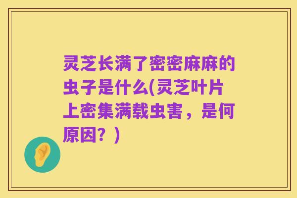 灵芝长满了密密麻麻的虫子是什么(灵芝叶片上密集满载虫害,是何原因?)