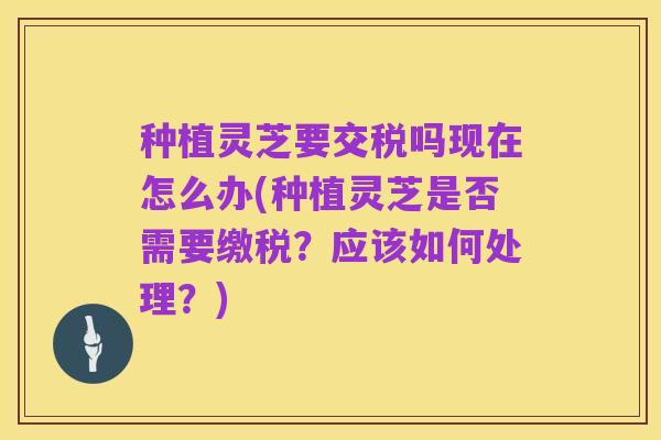 种植灵芝要交税吗现在怎么办(种植灵芝是否需要缴税?应该如何处理?)