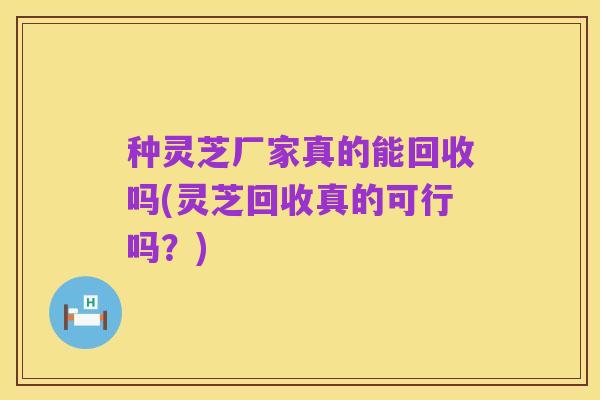 种灵芝厂家真的能回收吗(灵芝回收真的可行吗?)