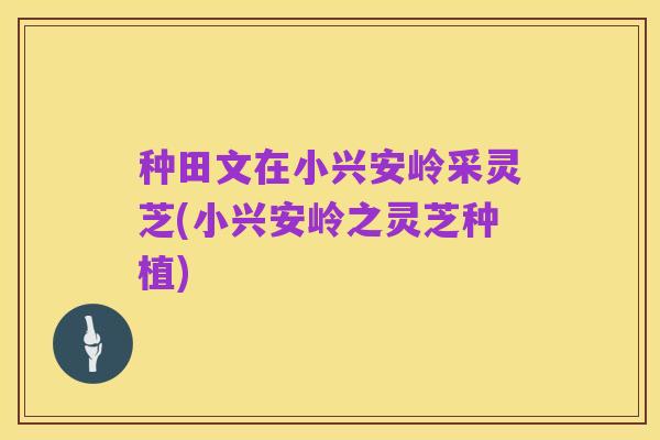 种田文在小兴安岭采灵芝(小兴安岭之灵芝种植)