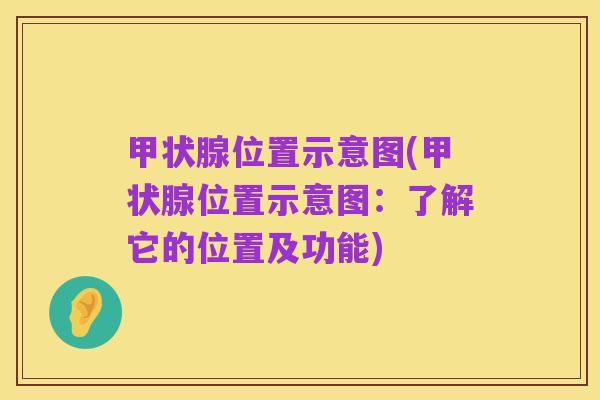 甲状腺位置示意图(甲状腺位置示意图:了解它的位置及功能)