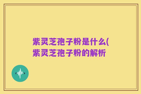 紫灵芝孢子粉是什么(紫灵芝孢子粉的解析