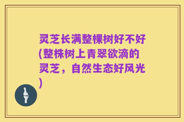 灵芝长满整棵树好不好(整株树上青翠欲滴的灵芝，自然生态好风光)