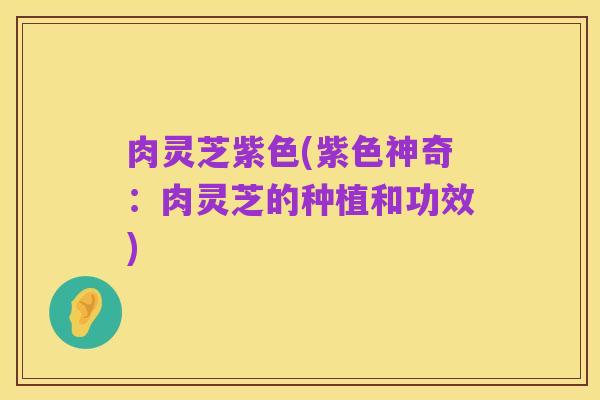 肉灵芝紫色(紫色神奇:肉灵芝的种植和功效)