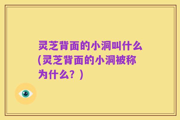 灵芝背面的小洞叫什么(灵芝背面的小洞被称为什么?)