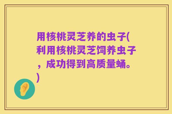 用核桃灵芝养的虫子(利用核桃灵芝饲养虫子,成功得到高质量蛹。)