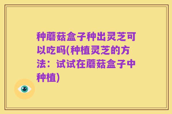 种蘑菇盒子种出灵芝可以吃吗(种植灵芝的方法:试试在蘑菇盒子中种植)