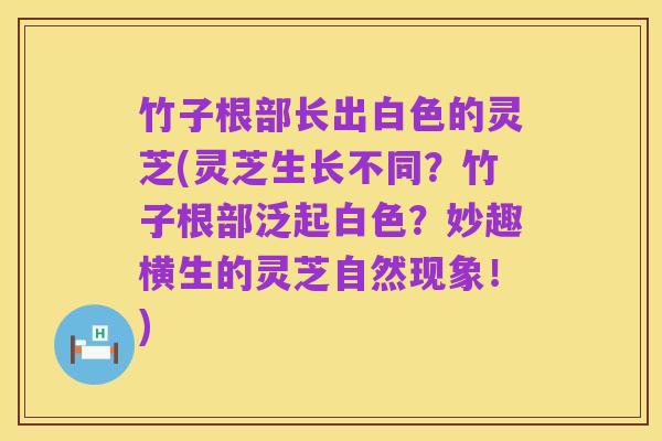竹子根部长出白色的灵芝(灵芝生长不同?竹子根部泛起白色?妙趣横生的灵芝自然现象!)