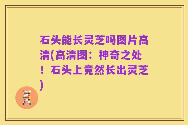 石头能长灵芝吗图片高清(高清图:神奇之处!石头上竟然长出灵芝)