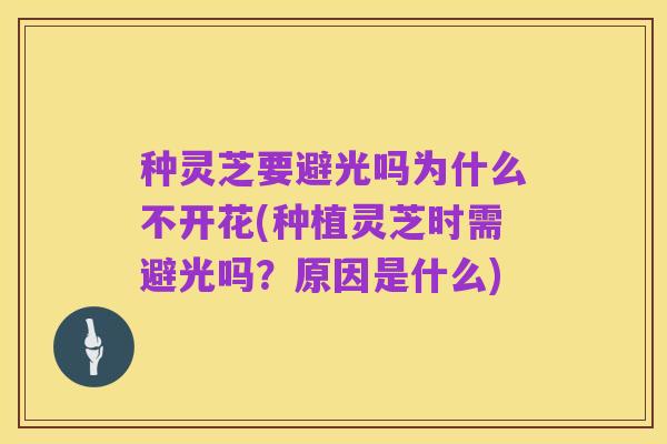 种灵芝要避光吗为什么不开花(种植灵芝时需避光吗？原因是什么)