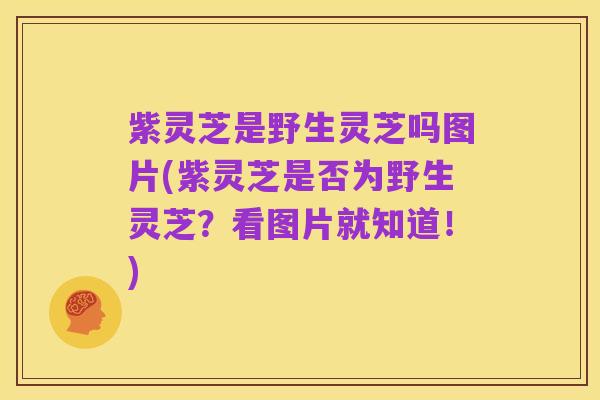 紫灵芝是野生灵芝吗图片(紫灵芝是否为野生灵芝?看图片就知道!)